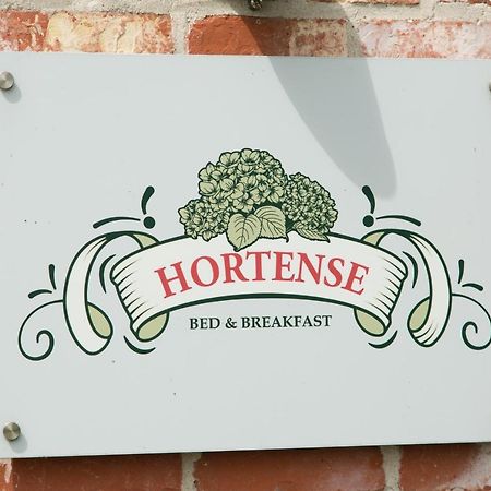 B&B Hortense Koekelare Eksteriør billede