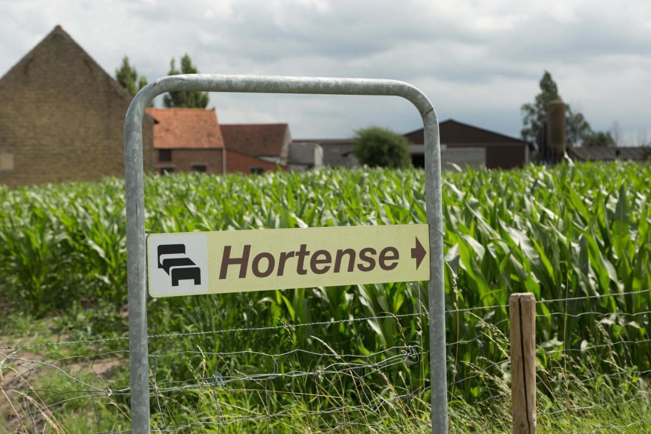 B&B Hortense Koekelare Eksteriør billede